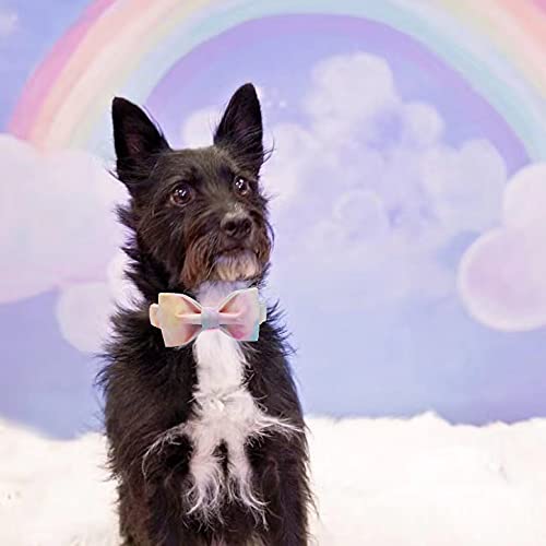 Elegant Little Tail Colorful Dog Collar, Comfortable Dog Collar With Bow Adjustable Soft Bow Tie Dog Collars For X-Small Dogs An
