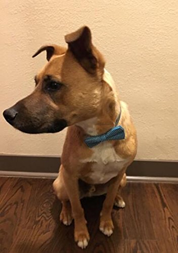 Colorful Polka Dots Bow Tie,Adjustable Bowtie Fashion Accessories for Pet Dog Cat (blue)