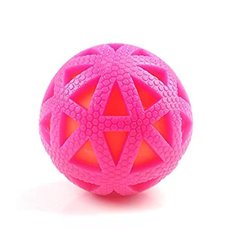Rvpaws Spiked Rubber Ball Puppy Teething Chew Toy For Dog Training