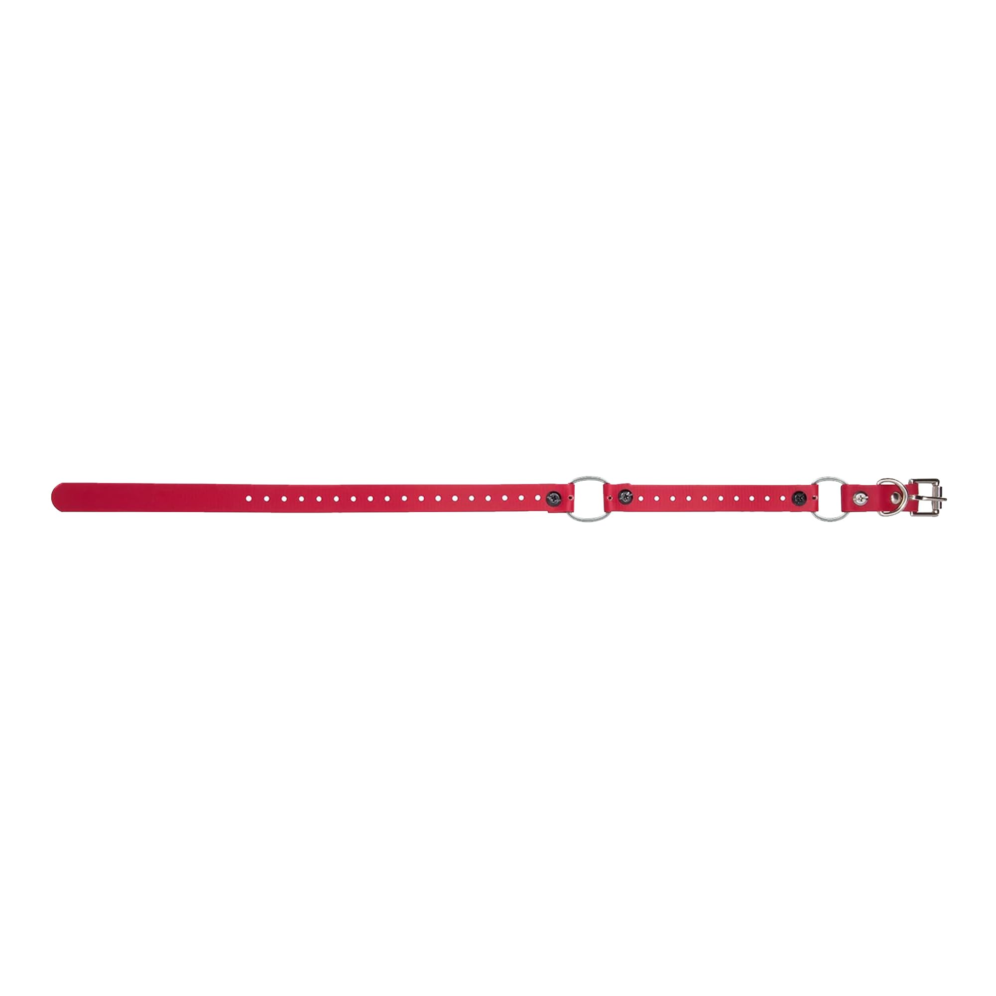 Educator Dog Mini Double Bungee Dog Collar, Biothane, Waterproof, Odorproof, Metal Buckle And D Ring With Two Comfort Loops, Adjustable For Custom Fit, 3/4-Inch, Red