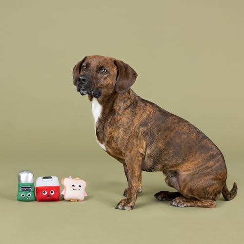 Fringe Studio Plush Dog Toy Set, Tool Time Treats, 3 Piece Set, Pet Shop Collection (662045)