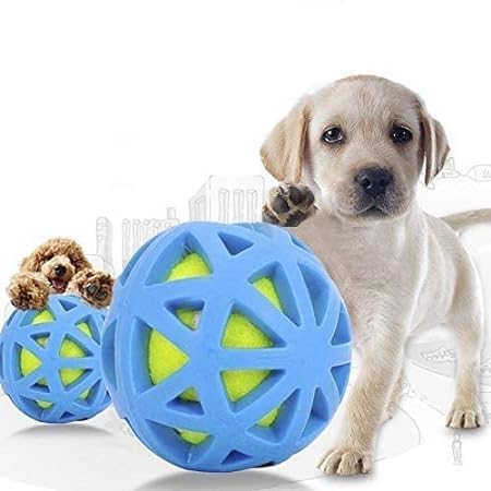 D&C Paws Natural Latex Rubber Ball Toys, Interactive Squeaky Pet Ball Toys For Dog/Puppy (Multicolor)  Small