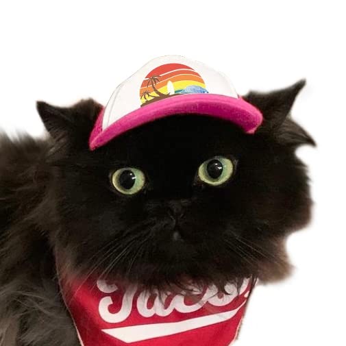 Puplid Trucker Hats For Kittens - Premium Stylish Sun Protection For The Modern Cat - Adjustable Secure Fitting Cat Hat (Pink, I