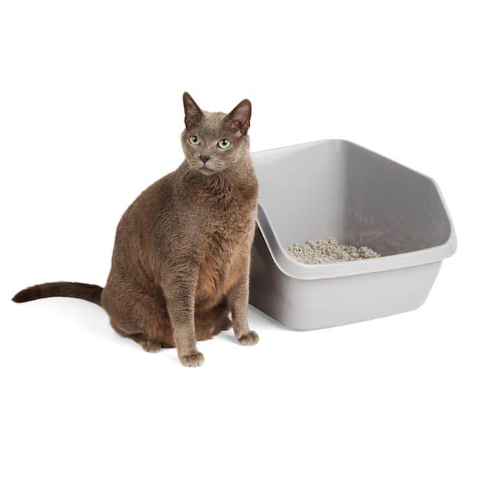 So Phresh Scatter Shield High-Back Litter Box in Gray 18.5 L X 15 W X 8.5 H