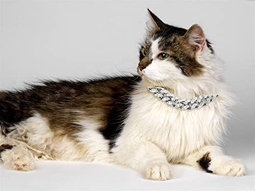 Halukakah Cat Collar - Carat - Iced Out Diamond Cuban Link Gold Chain For Cats & Kittens - 18K Real Gold Plated 14' Collar Size