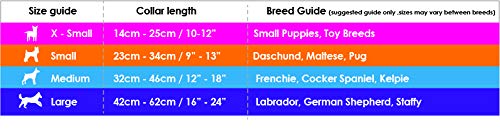 DOOG Soft Neoprene Padded Dog Collar - Adjustable for Large Dogs (16"-24"), Pink with Black Stars, Water Friendly