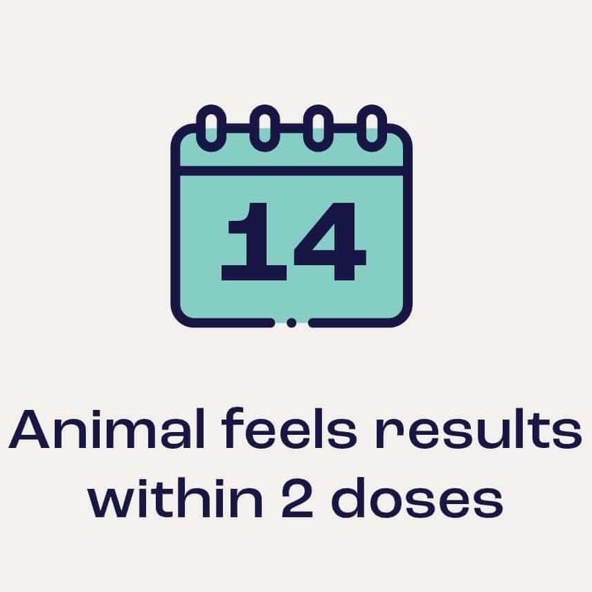 Summit Animal Health Joint & Mobility Sublingual for Horses, 4pk