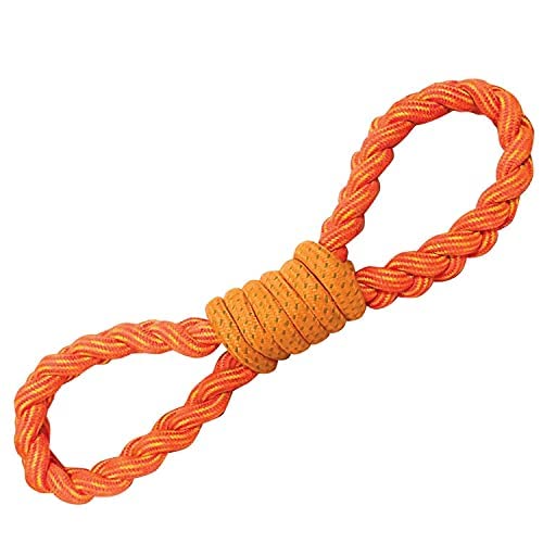 Dog Trust Figure 8 Rope Toy For Chewing And Teething For Dogs & Puppies (Color May Vary)