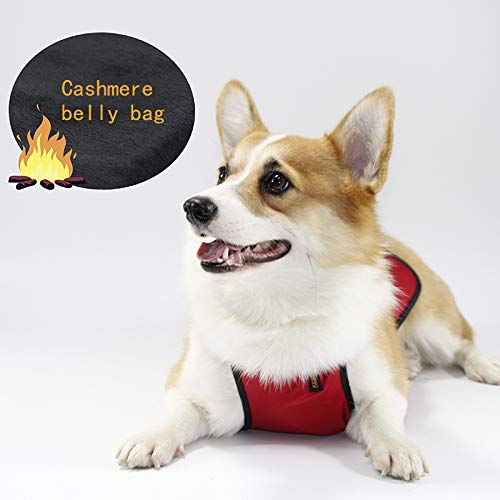 Kelendle Warm Pet Vest - Belly Cover Protector Harness for Short Leg Female Dogs & Puppies - Waterproof Pet Costume