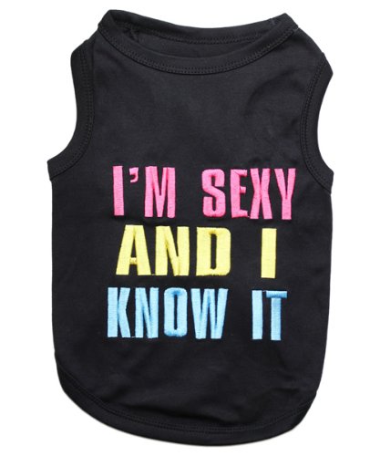 Parisian Pet Dog Cat Clothes Tee Shirts Embroidered T-Shirt Sexy And I Know It, M