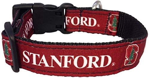 College Dog Collar (Small, Stanford)