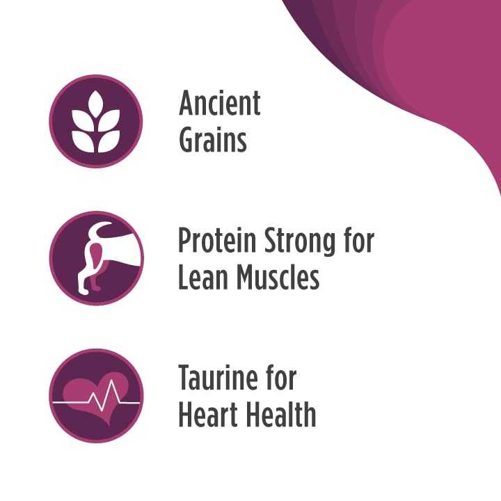 Nulo Frontrunner Ancient Grains High-Protein Dog Food, Pork, Barley, & Beef Recipe- Natural Dry Dog Food with Probiotics, Grain-