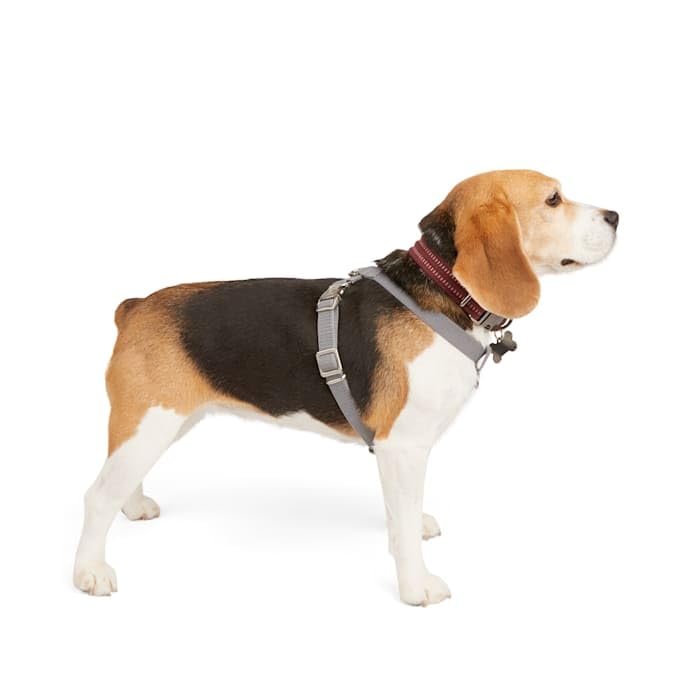 Reddy Grey Reflective Dog Harness Medium