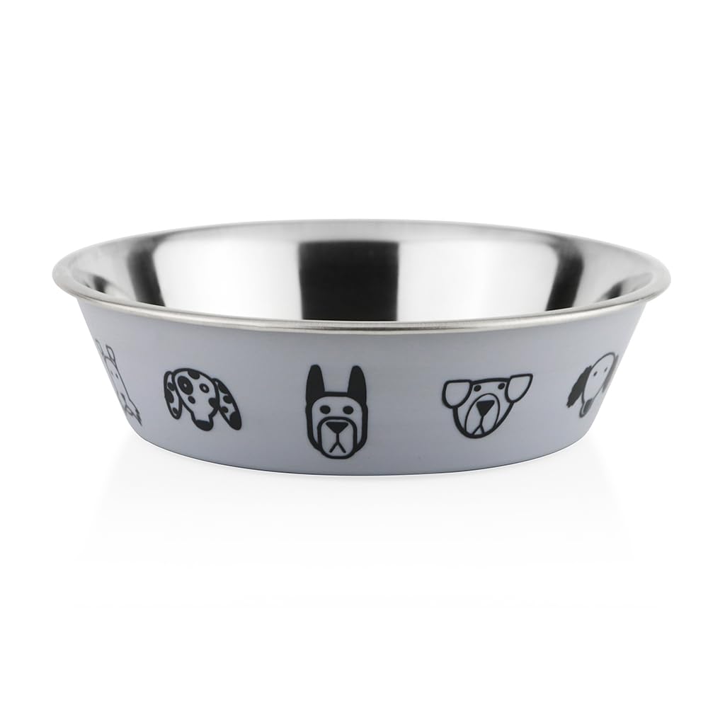 Pawpourri Printed Aqua AntiSkid Stainless Steel Water And Food Feeding Shell Bowl For Adult Dogs, Puppies, Cats |Stainless Stee