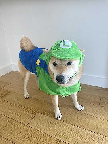 ComfyCamper Dog Costume - Hat & Suspenders, Large, Green, Polyester, X Large Medium Small Lab Star Space, Perfect for Halloween