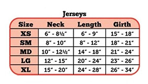 Pets First NCAA College Boston College Eagles Mesh Jersey for DOGS & CATS, X-Small. Licensed Dog Jersey with your Favorite Footb