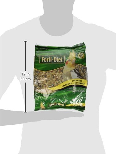 Kaytee Forti Tiel Food, 5 Lb
