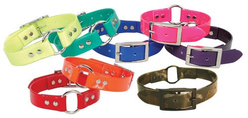 Omnipet Sunglo Ring-In-Center Dog Collar, 1' Wide, Yellow, Fits 18.5'- 22' Neck Sizes, Vibrant Colors & Tough Construction Fo