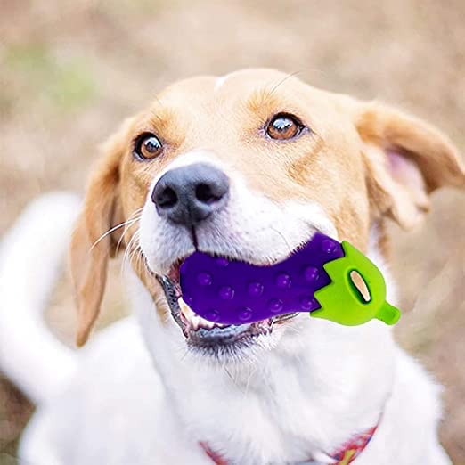 Woofy Pet Natural Rubber Chew Veggie Brinjal Shape Squeaky Toys For All Breed Dogs And Puppies (Pack Of 1)