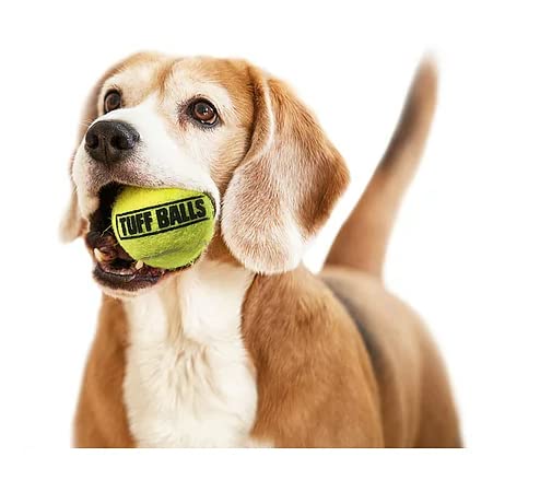 Petsport Yellow Tennis Ball Dog Toys | 3 Pack Medium (2.5') Pet Safe Non-Toxic Industrial Strength Felt & Rubber Tuff Balls | Play Fetch, Launch, Chuck Or Toss At Dog Park