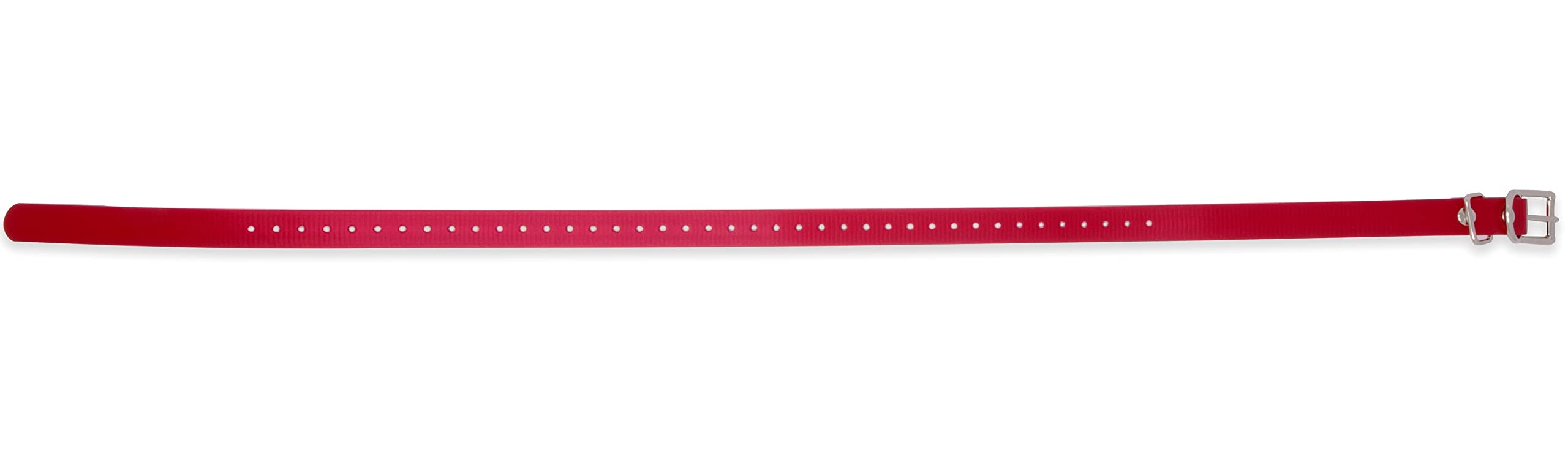 Educator Biothane Dog Collar, Waterproof, Odorproof, Metal Buckle And D Ring, Adjustable For Custom Fit, Cool And Comfortable, For Small, Medium, Or Large Dogs, 3/4-Inch, Red