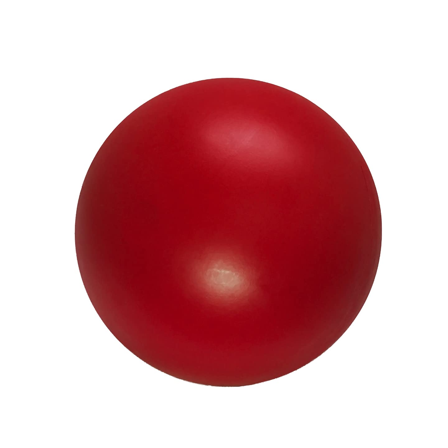Doggie Dooley Virtually Indestructible Best Ball For Dogs, 8 Inch (Colors Vary) (1008),Medium