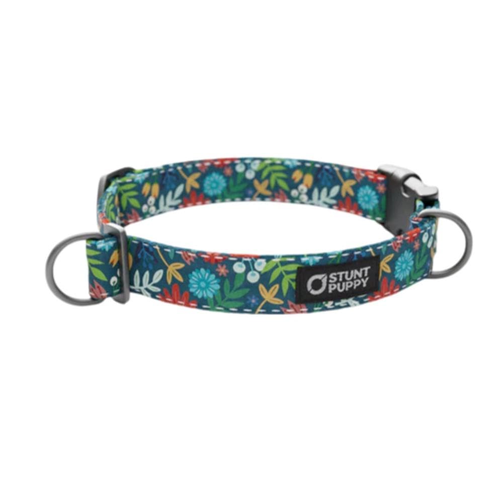 Frolic Fall Everyday Collar Medium