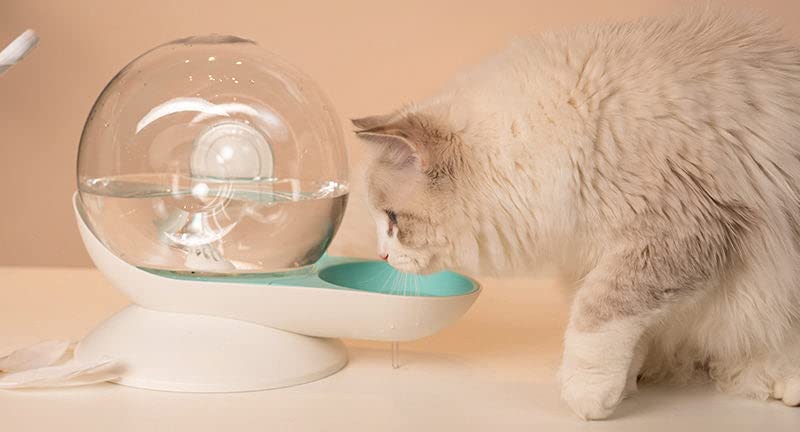 Pet Life  'Auto-Myst' Snail Shaped 2-in-1 Automated Gravity Pet Filtered Water Dispenser and Food Bowl