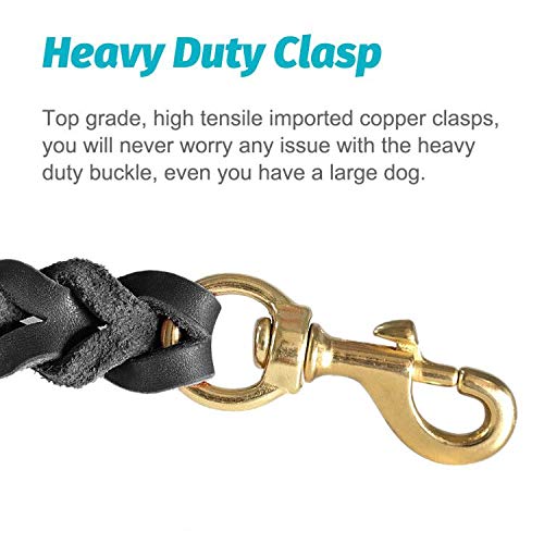 FAIRWIN Leather Dog Leash - 6ft Braided Heavy Duty for Large Medium Small Dogs, Black, Model FW004B