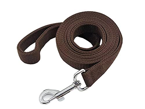 Strong Nylon Dog Leash With 2-Layer, 4 Ft/ 6 Feet Long, 1 Inch Wide For Medium Large Dogs (1'' X 5 Ft, Brown)