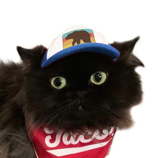 Puplid Trucker Hats For Kittens - Premium Stylish Sun Protection For The Modern Cat - Adjustable Secure Fitting Cat Hat (Blue, B