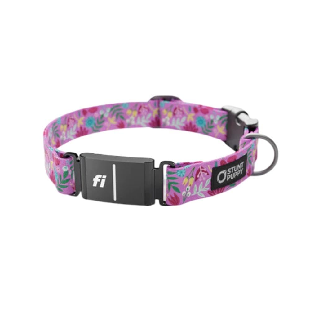 Stunt Puppy Dog Collar, Fi Series 3 Ready, Frolic Summer, X-Large - Compatible With Fi Gps Device (Not Included)