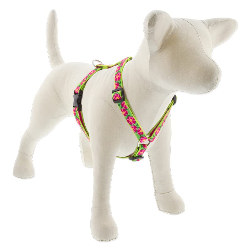 Lupine Adjustable Dog Harness with in 3/4'' Wide Petunias 14-24'' Girth