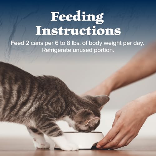 Blue Buffalo Wilderness Natural High-Protein Grain-Free Wet Food for Adult Cats, Turkey Pat  , 5.5-oz. Cans, 24 Count