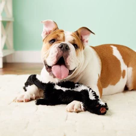 Ethical Products 5500 Mini Skinneeez Skunk Dog Toy, 14-In. - Quantity 33
