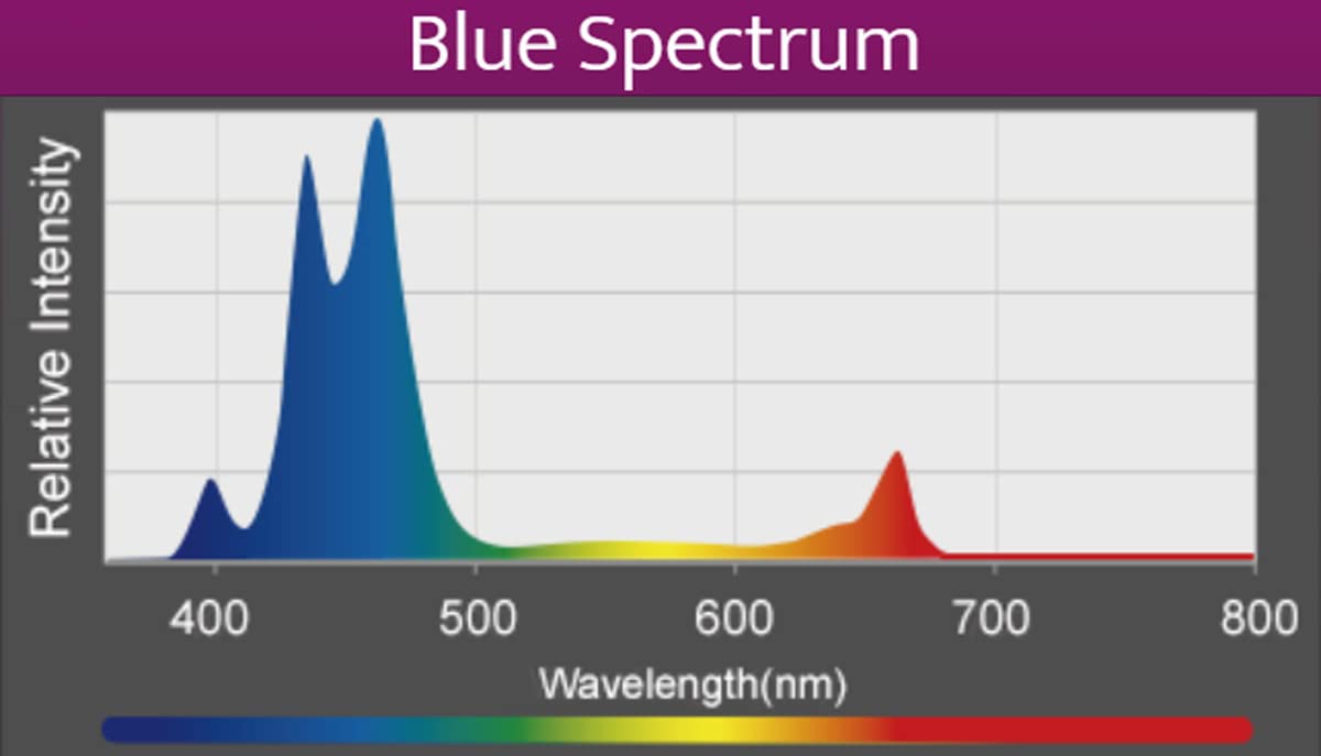 Kessil A360X Refugium Led Light