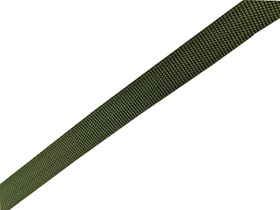 Nylon Dog Leash 8 Feet Long, Walking Training Dog Leashes For Medium Large Dogs(1'' X 8 Ft, Gree)