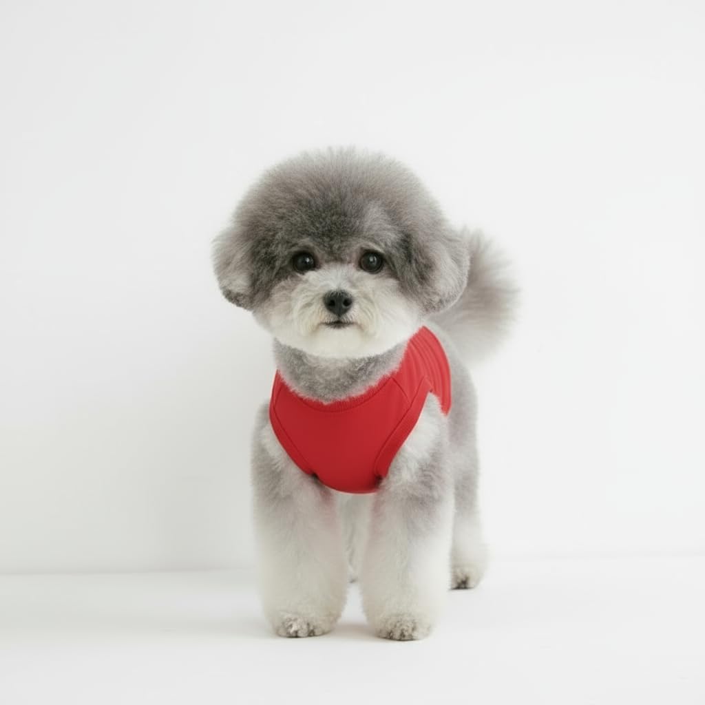 Chol&Vivi Dog Clothes, 2pcs Soft Cotton T-Shirts for Small, Medium, Large, Extra Large Dogs (Red and Orange, S (16 Chest))