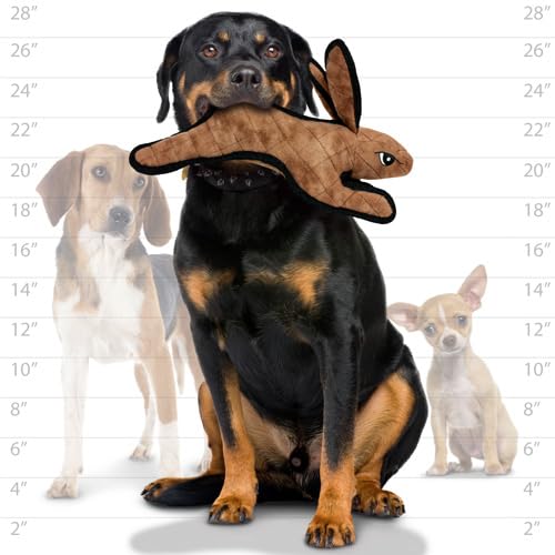 TUFFY Barnyard Brown Rabbit Dog Toy - Durable Squeaker, Regular Size, Machine Washable, Interactive Play (Tug, Toss & Fetch)