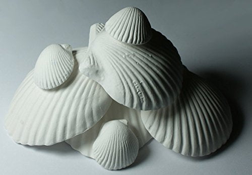(2 Packages) Weco Wonder Shell Natural Minerals (3 Pack), Small - Total Of 6 Shells