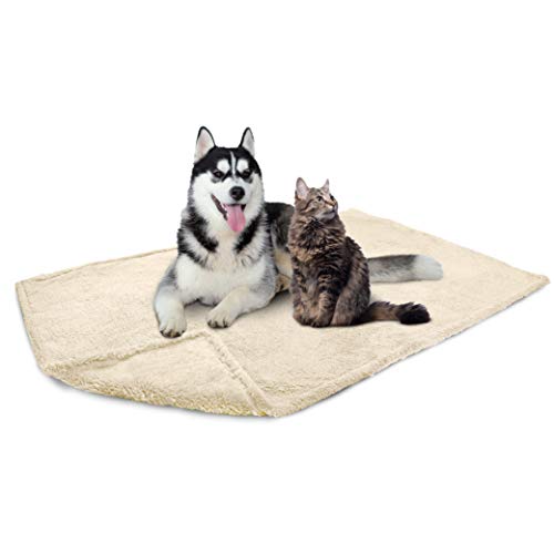 Petami Fluffy Waterproof Dog Blanket Fleece | Soft Warm Pet Fleece Throw For Large Dogs And Cats | Fuzzy Furry Plush Sherpa Throw Furniture Protector Sofa Couch Queen Bed (Beige Cream, 90X90)