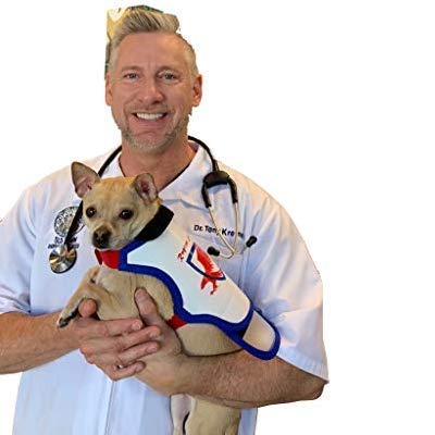 Raptor Shield Puncture Resistant Pet Vest For Small Dogs — Talon-Proof Protection Against Attacks By Coyotes, Hawks, Birds Of Prey, Made In The Usa, Four Sizes— Small, 4-6.5 Lbs, Chest 10.5 To 13.5'