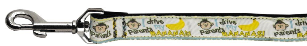 Pet Dog & Cat Nylon Collar or Leash, "Monkey Madness" 1" w x 6 ft. leash