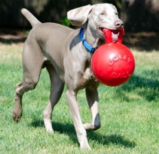 Tug N Toss Jolly Balls 4.5In Asst
