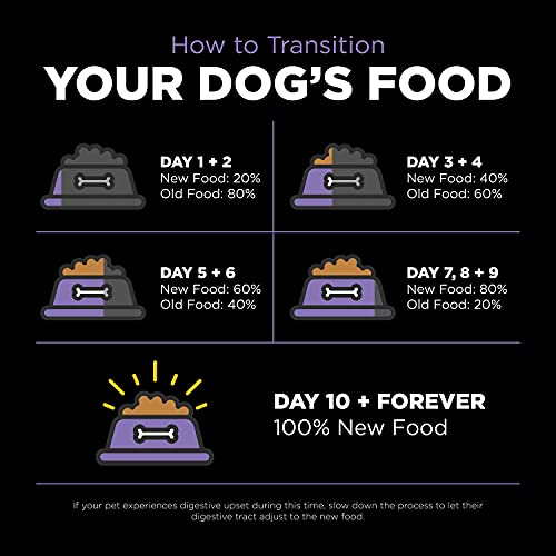 Go! Solutions Carnivore, Grain-Free, Protein Rich Dry Dog Food, Chicken, Turkey and Duck Senior Recipe, 22 lb Bag
