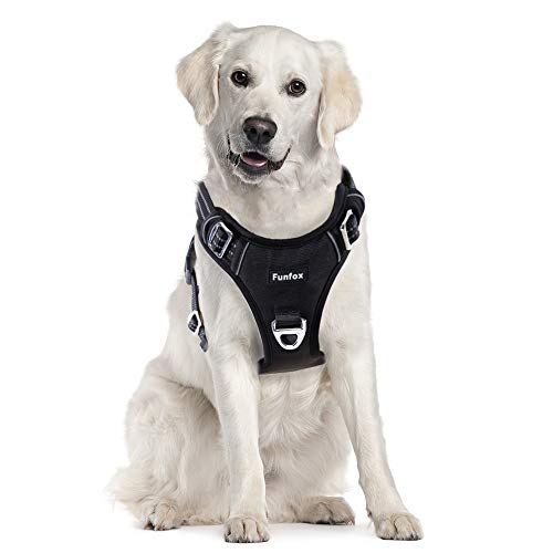 Funfox Dog Harness No Pull, Adjustable Dog Vest Harness Super Soft, 2 Leash Clips Anti Pull, Vertical Handle Easy To Control, Re