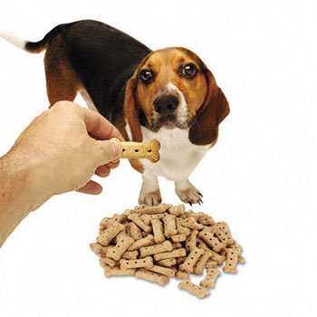 Doggie Biscuits, 10lb Box
