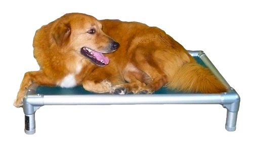 Kuranda Chewproof Bed - Silver Aluminum - 30'' x 20'' - Heavy Duty Vinyl - Royal
