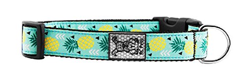 Rc Pets 5/8 Inch Adjustable Dog Clip Collar, X-Small, Pineapple Parade