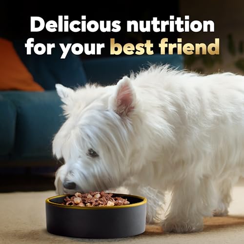 CESAR HOME DELIGHTS Adult Wet Dog Food & Classic Loaf in Sauce Variety Pack, 3.5 oz. Easy Peel Trays, Pack of 36